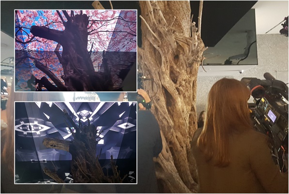 로비 올리브 나무와 프로젝션 맵핑 <사진=장은진 기자>