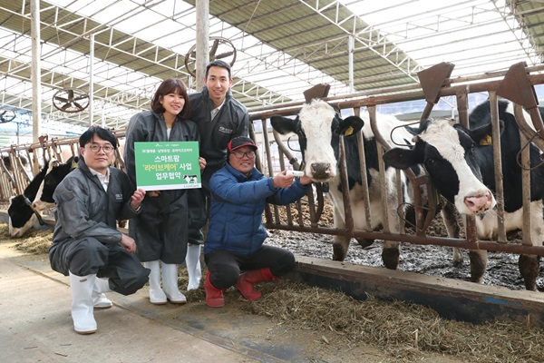 SK텔레콤 관계자가 충남 부여군 성동목장에서 loT망을 통해 젖소의 건강상태를 실시간 관리하는 스마트팜 '라이브케어' 서비스를 소개하고 있다.<사진=SK텔레콤>