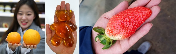 (왼쪽부터)GS리테일 모델이 ‘대왕오렌지’, ‘유어스점보젤리’, 신품종 ‘킹스베리딸기’ 크기를 손바닥 등과 비교해 선보이고 있다. <사진=GS리테일>