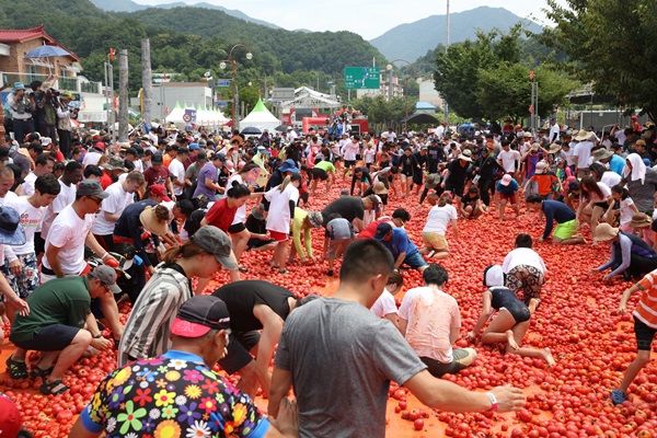 지난해 열린 화천 토마토축제에서 관광객들이 행사에 참여하고 있다. <사진=오뚜기>