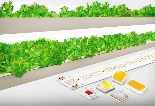 삼성전자가 출시한 식물 생장용 LED 패키지와 모듈. <사진=삼성전자>
