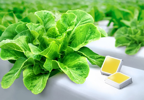 삼성전자, 식물 생장용 백색 LED 업계 최고 효율 달성<사진=삼성전자>