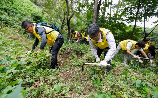 이명한 대림산업 토목사업본부장(가운데)과 대림산업 직원들이 남산 소나무숲에서 유해식물 제거 활동을 펼치고 있다. <사진=대림산업>