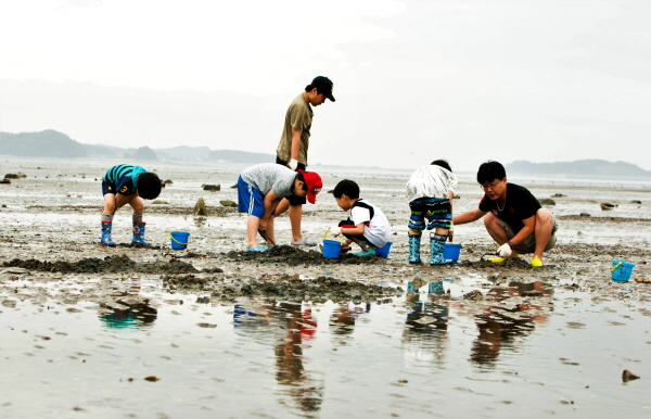 어촌체험마을 행사에 참가해 조개캐기 체험을 하고 있는 관광객들의 모습. <사진=수협중앙회>