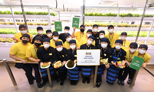 이케아코리아 직원들이 도심형 농장 '이케아 파르마레'를 소개하고 있다. <사진=이케아코리아>