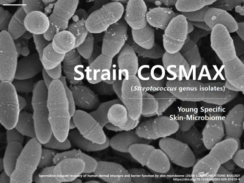 새롭게 발견한 미생물 Strain-COSMAX <사진=코스맥스>