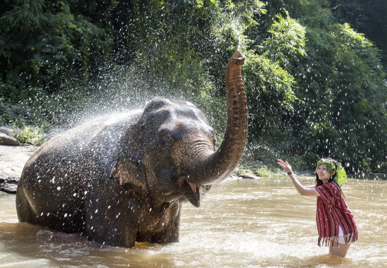 하나투어 고객이 ‘치앙마이 5일 #코끼리와의 하루’ 상품으로 강에서 코끼리와 물놀이를 하고 있다. 
