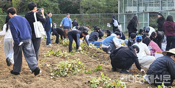 �۷��� ���� �������б� �ڿ��Ĺ��� �翡�� �������� ĳ�� �ִ� ����Ű�� �ڸ�û�ҳ�� ����б� �����л��� ������� �����츲 ��õ���α׷� �� �ϳ��� ������ ĳ�⸦ �����ϰ� �ִ�. �ϸ����ͻ�Ű��Ʈ��