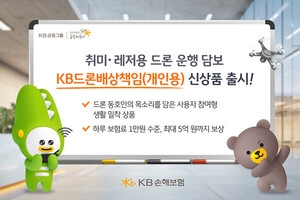 [보험Pick] KB손해보험·DB손보·iM라이프 - 뉴스 썸네일 이미지