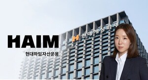 현대하임 앞세운 '현대해상'···정정이 대표 경영능력 '시험대' - 뉴스 썸네일 이미지